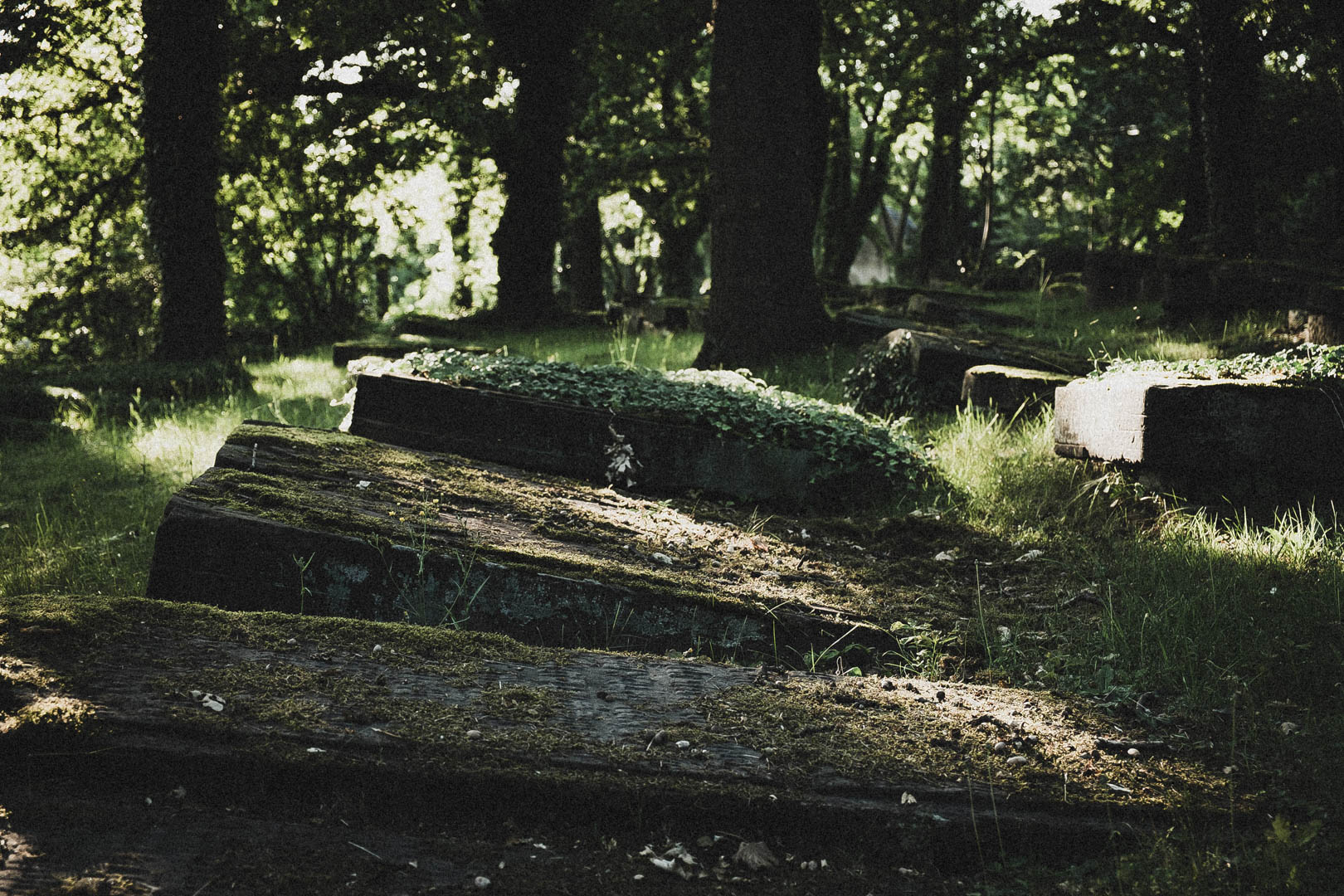 Jüdischer Friedhof Kassel-Bettenhausen